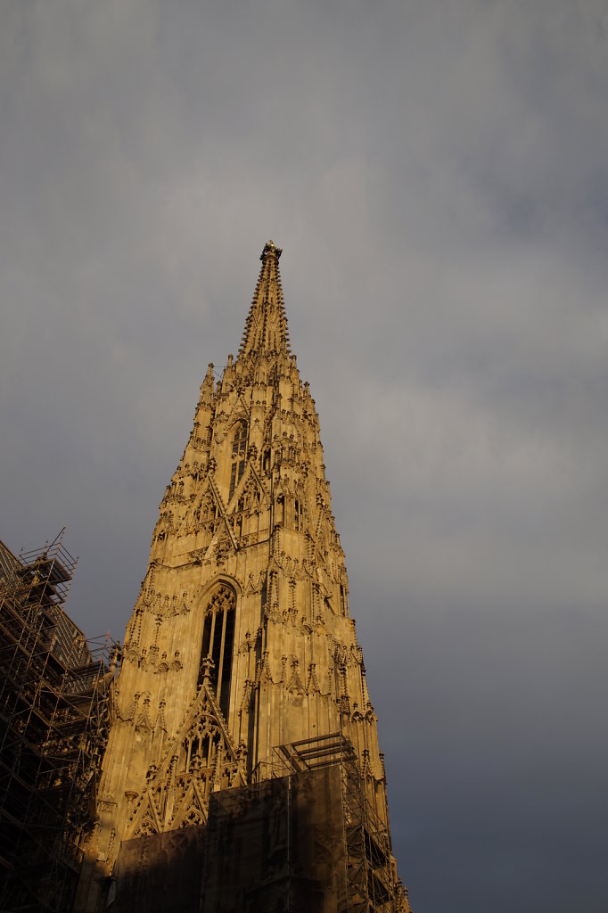 DSC6235.JPG