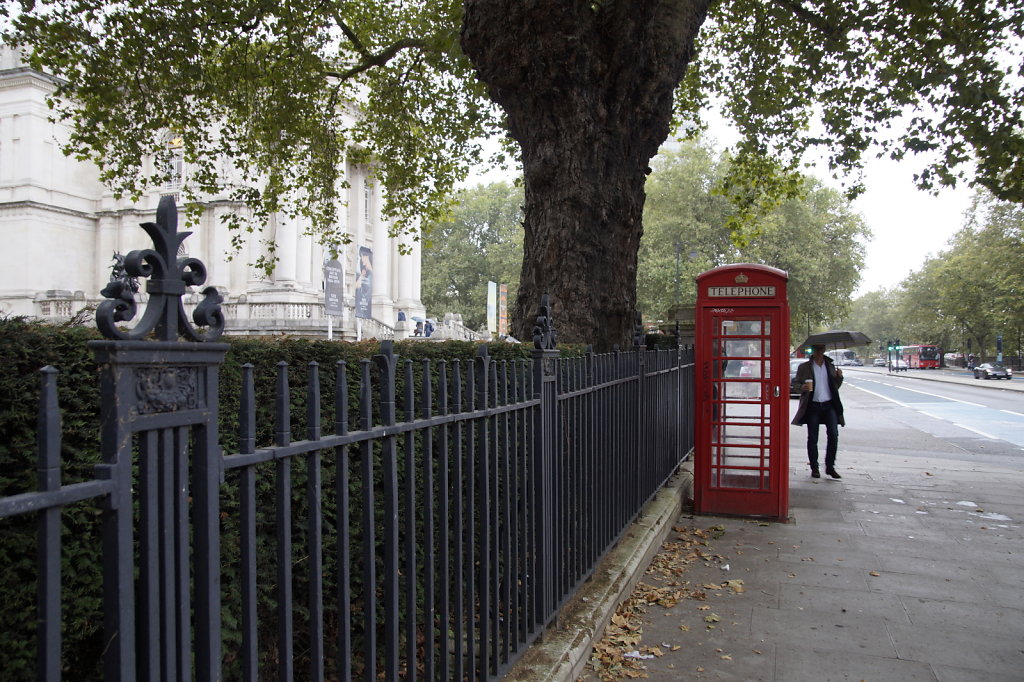 DSC9608.JPG