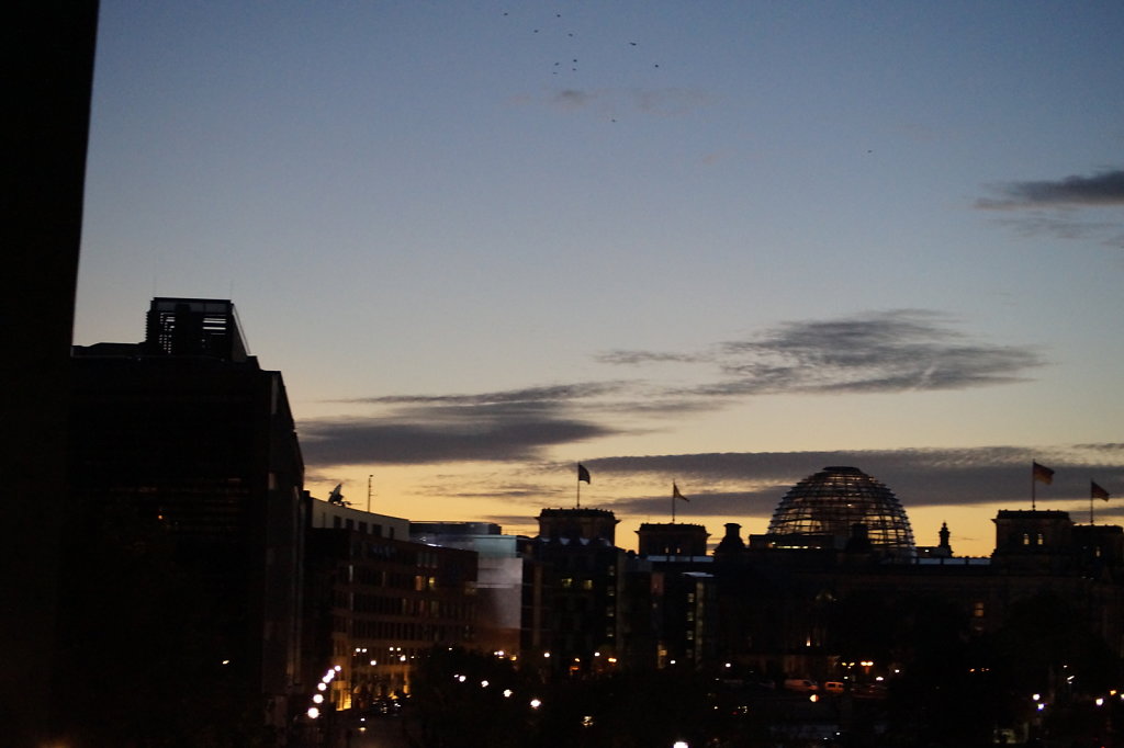 DSC3107.JPG