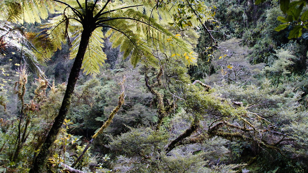 DSC4796.JPG