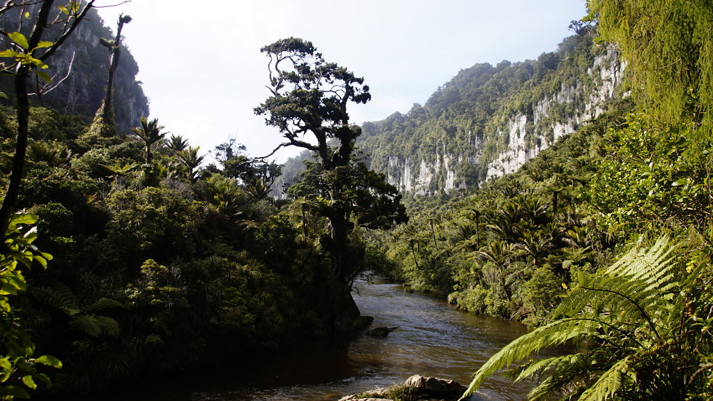 DSC4758.JPG