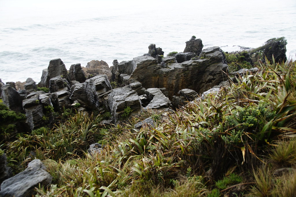 DSC4973.JPG