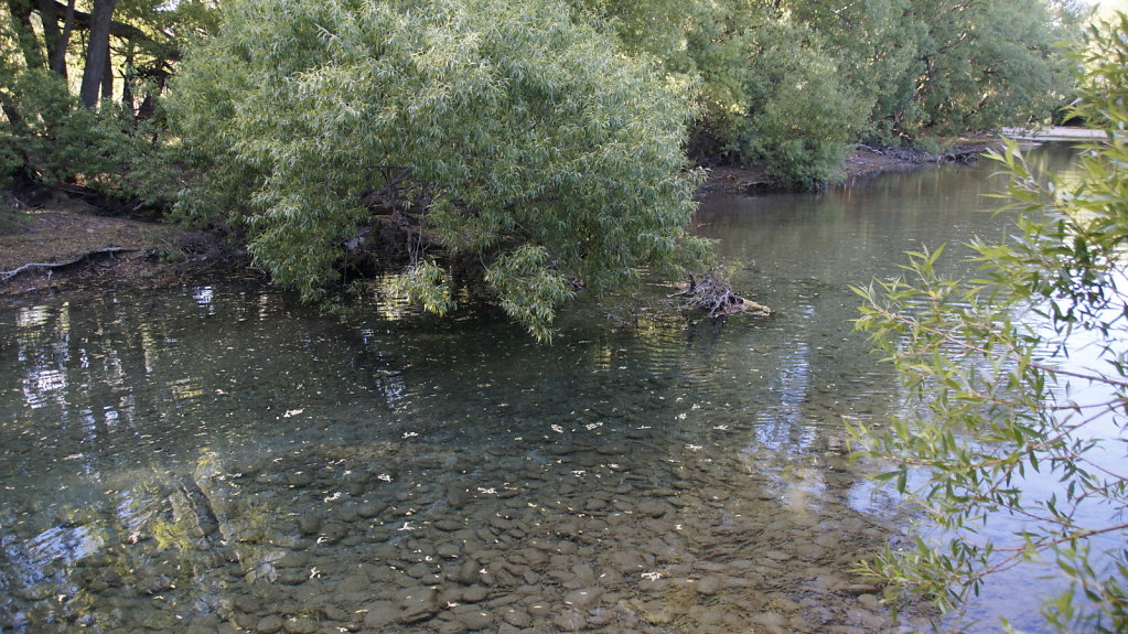 DSC5357.JPG