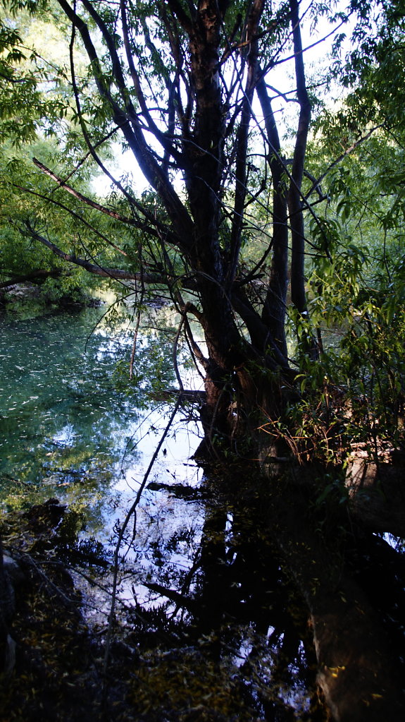 DSC5418.JPG