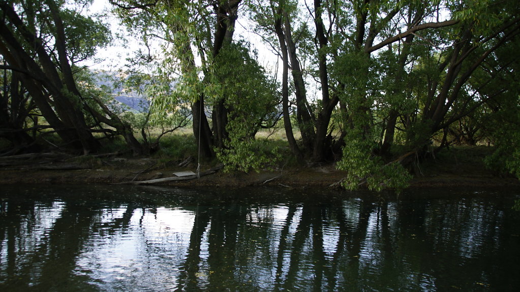 DSC5465.JPG