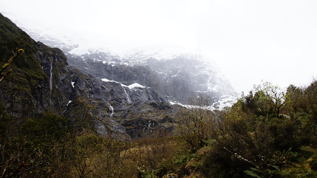 DSC5552.JPG