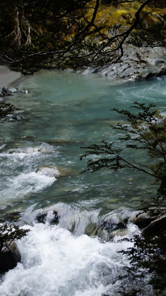 DSC5611.JPG
