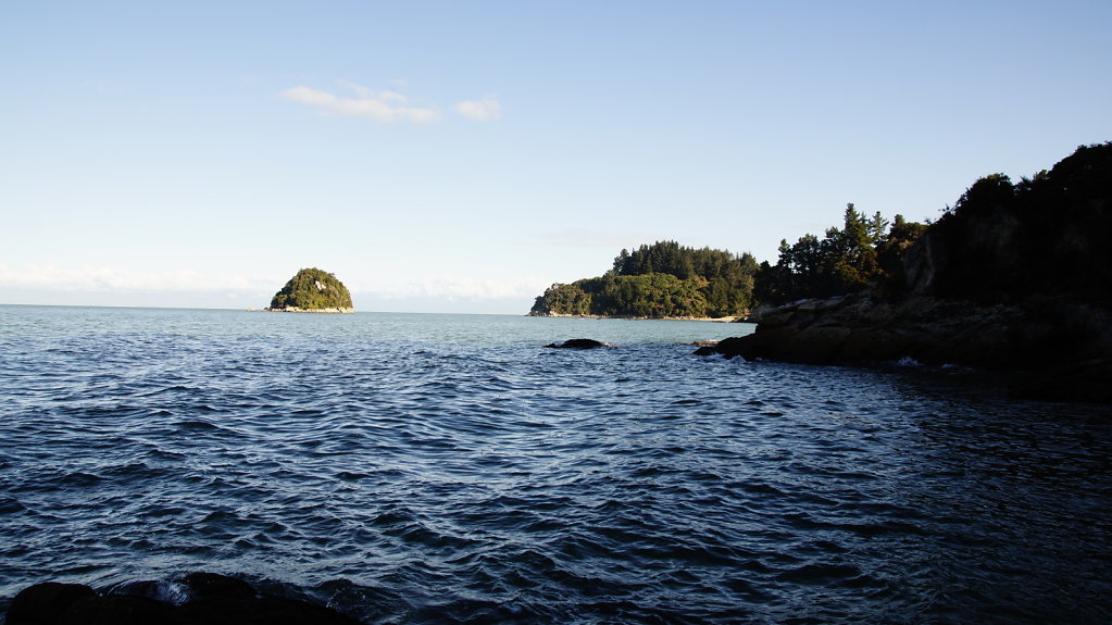 DSC4450.JPG