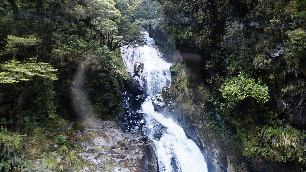 DSC5864.JPG