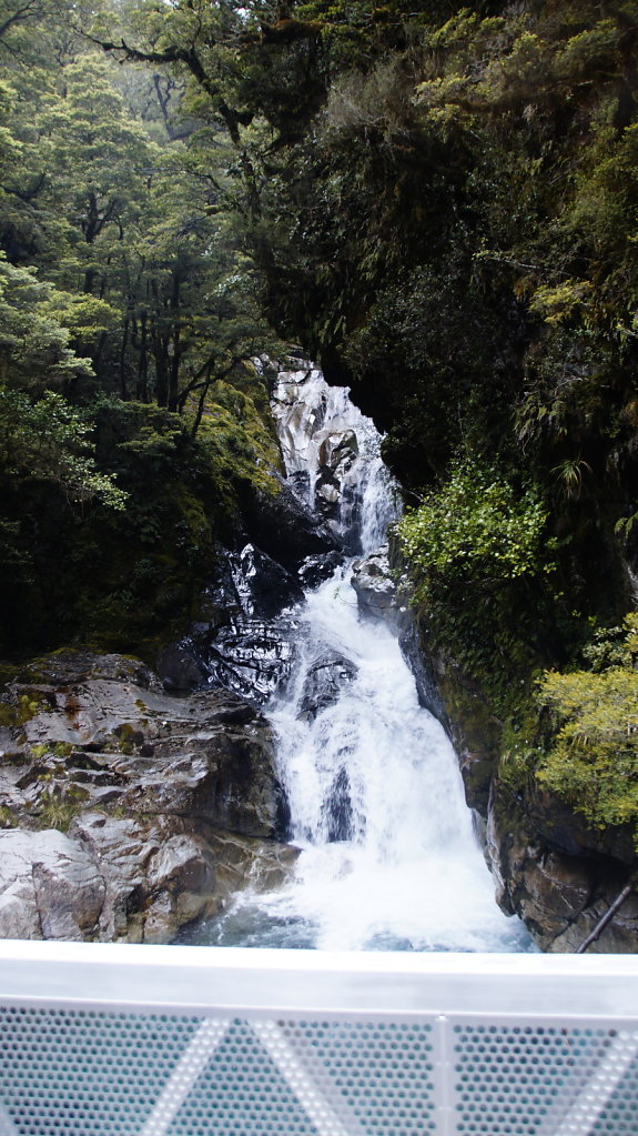 DSC5867-Kopie.JPG