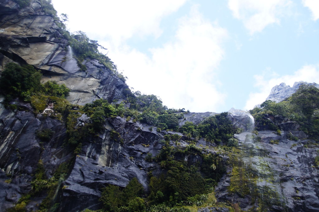 DSC5970-Kopie.JPG