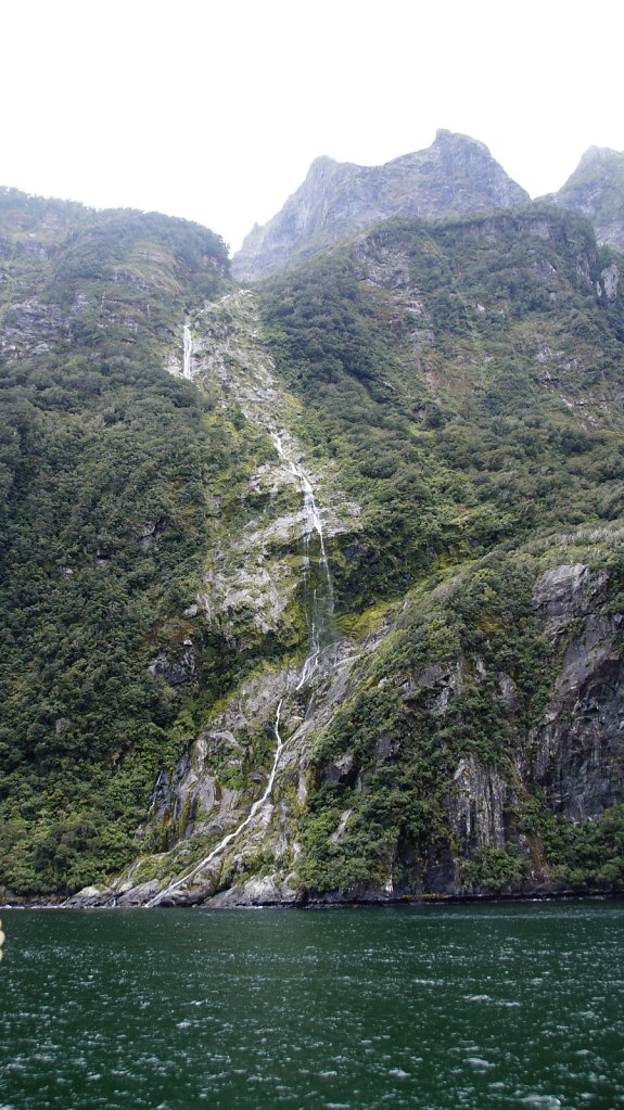 DSC6000.JPG