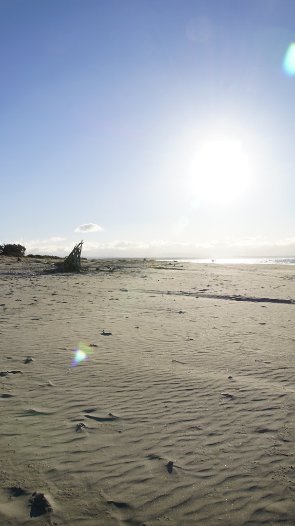DSC3864.JPG