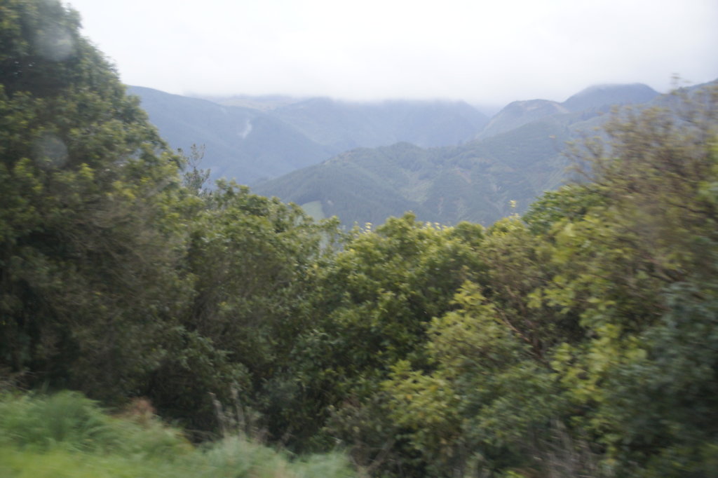 DSC4239.JPG