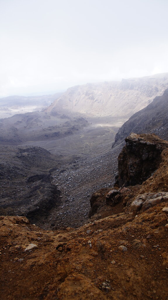 DSC7005.JPG