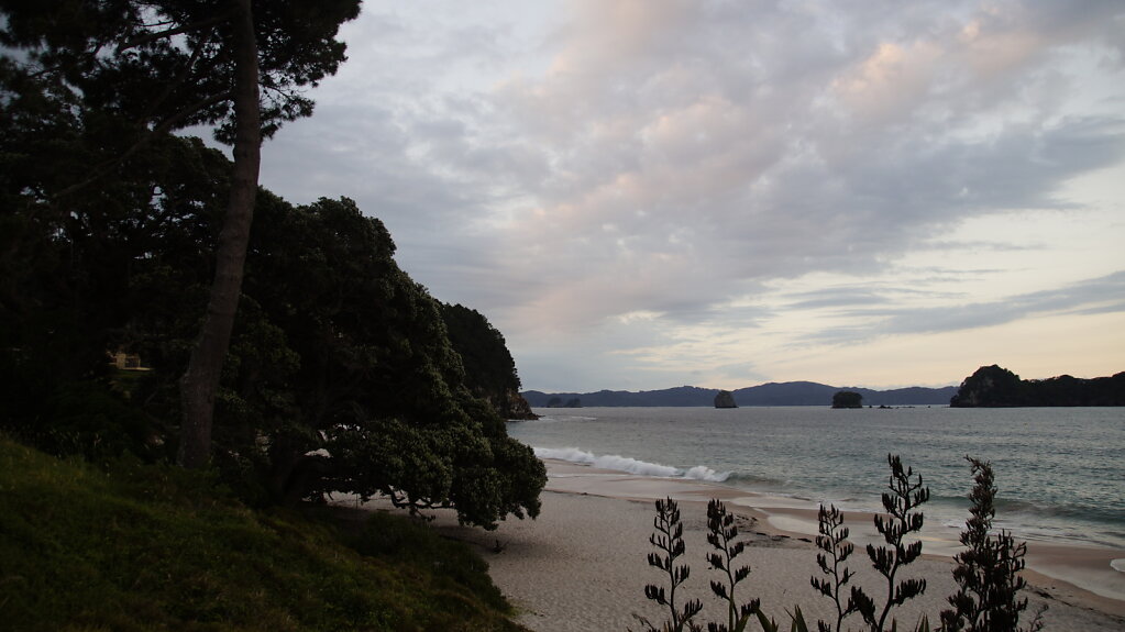 DSC7609.JPG