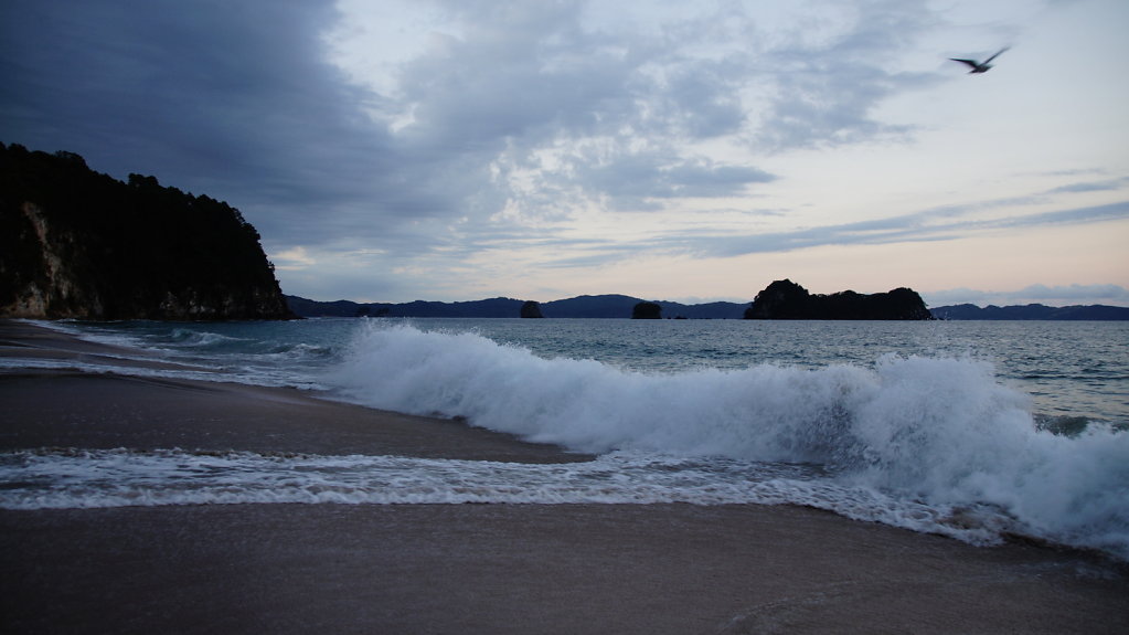 The Coromandel Peninsula 
