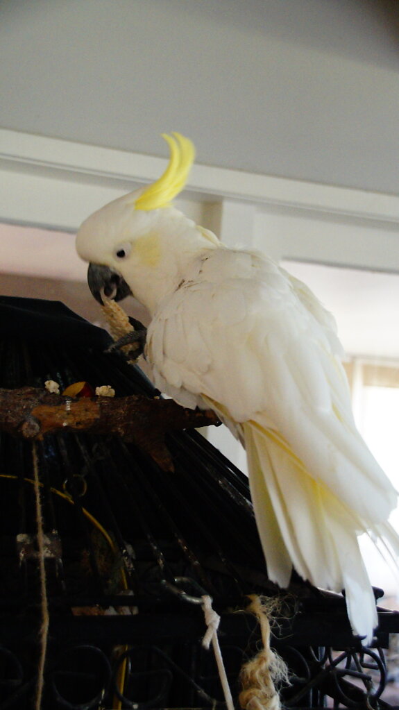 DSC8005.JPG