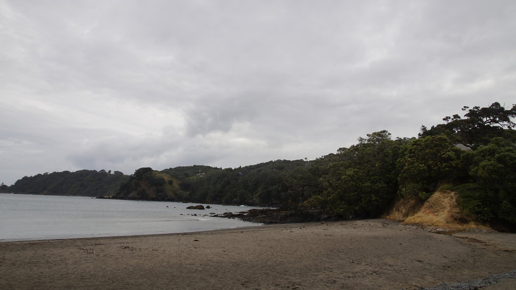 DSC8016.JPG