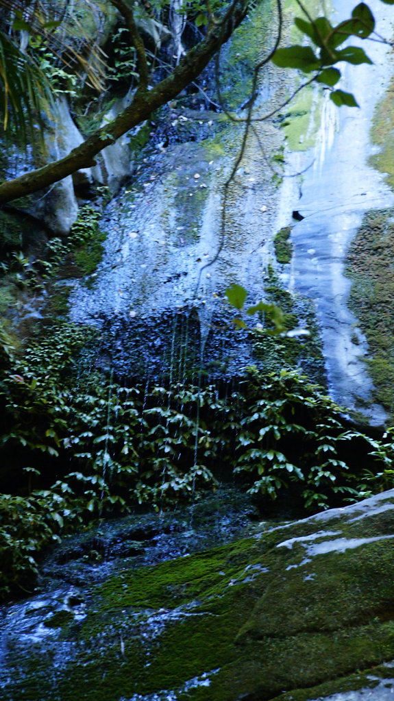 DSC8120.JPG
