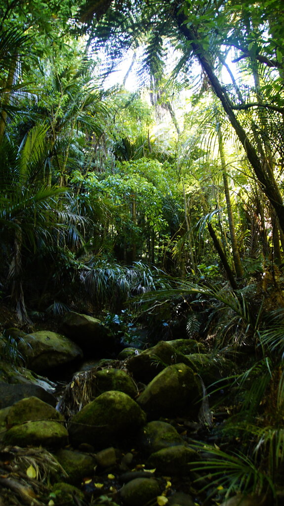 DSC8141.JPG