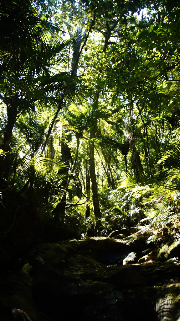 DSC8150.JPG