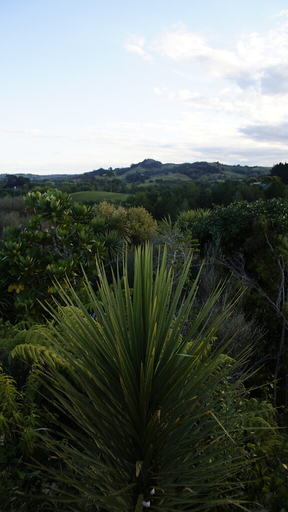 DSC8183.JPG