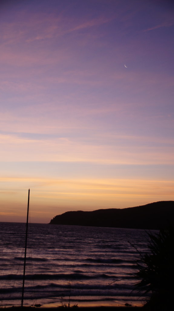 DSC8555.JPG